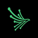 Black Kite AI logo
