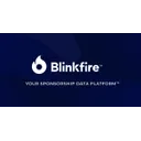 Blinkfire Analytics AI logo