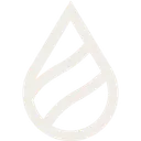 Blue Forest AI logo