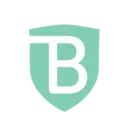 BrandShield AI logo