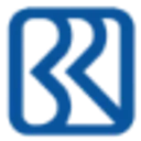 BRI AI logo
