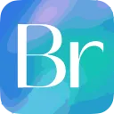 Bridge logo