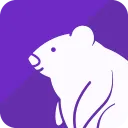 Burrow AI logo