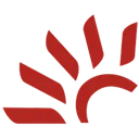 Canadian Solar AI logo