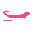 ChatPuma logo