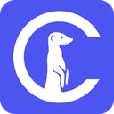 Curious Thing logo