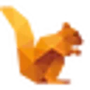DataSquirrel logo