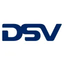 DSV AI logo