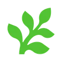 Fern logo
