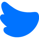 Flock Social logo