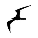 Frigate AI logo