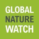 Global Forest Watch AI logo