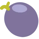 Grape Codes logo