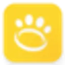 Halo Collar AI logo