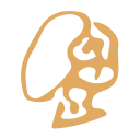 Interview Solver logo