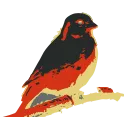 Kanaries logo