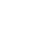 Lucidpic logo