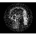 Madison AI logo