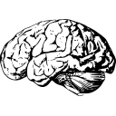 Namy AI logo