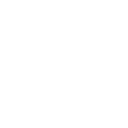 NCX logo