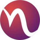 Netus logo