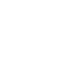 Newton logo