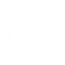 Nouswise logo