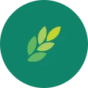 OKO AI logo