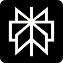Perplexity API Platform logo