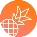 Pineapple logo
