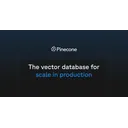 Pinecone Serverless logo