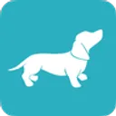 PlayPosit AI logo