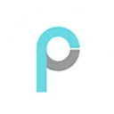 Pony.ai logo