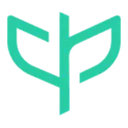 Precision AI logo