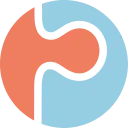 Puzzle Labs logo