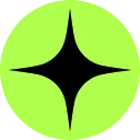 Raizer logo