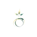 Seedance 2.0 logo