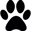 ShortGen Video logo