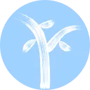 Siftree logo