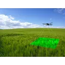 Skippy Scout AI logo
