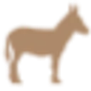 Songdonkey logo