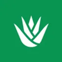 Stepseed logo