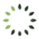 Taranis AI logo