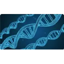 Veritas Genetics AI logo