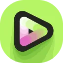 Vidyo logo