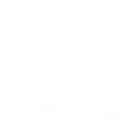 Vitirover logo
