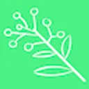 Wattle logo